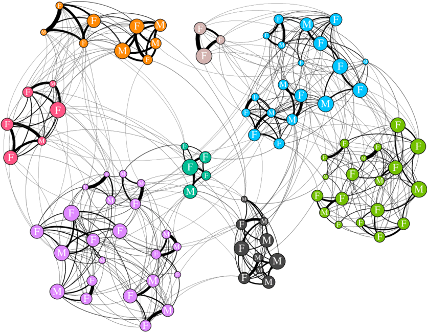 An Example Annual Social Network For The Southern Resident - Drawing (850x648), Png Download
