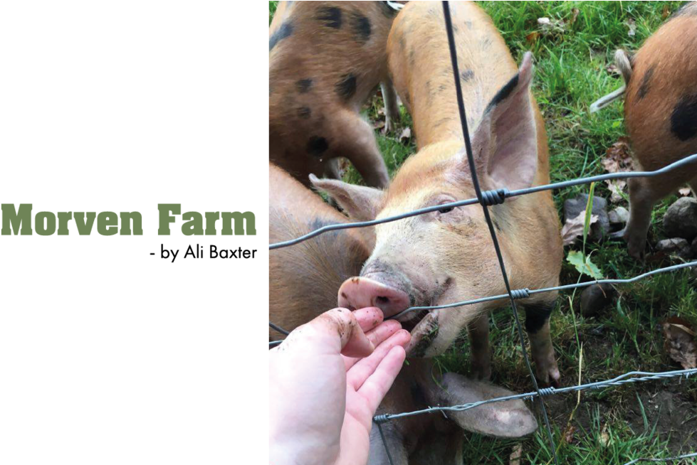 140artboard 1-101w - Merrill Lynch (1000x653), Png Download