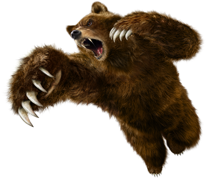 Clipart Transparent Download Kuma Png Tekken Artwork - Tekken 6 Kuma (675x570), Png Download