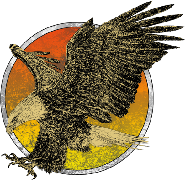 Eagle Flying - Eagle (600x600), Png Download