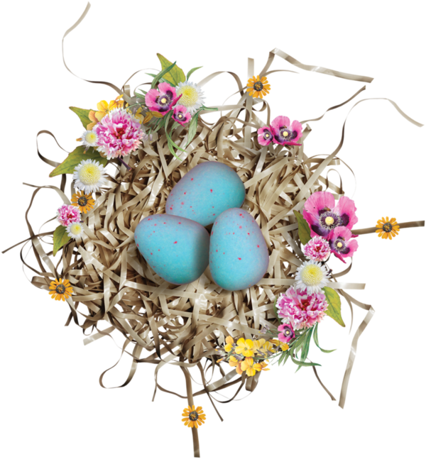 Bird Easter Transprent Png Free Download - Egg (600x647), Png Download