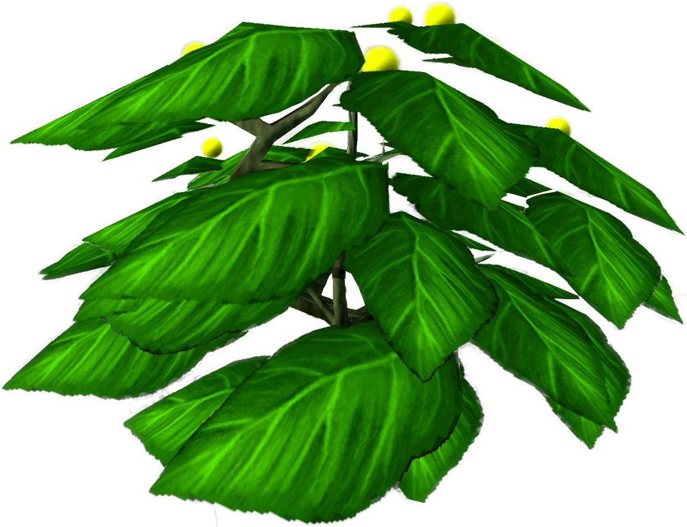 Houseplant (1000x768), Png Download