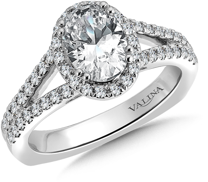 Valina Oval Shape Halo Mounting - Pre-engagement Ring (800x800), Png Download