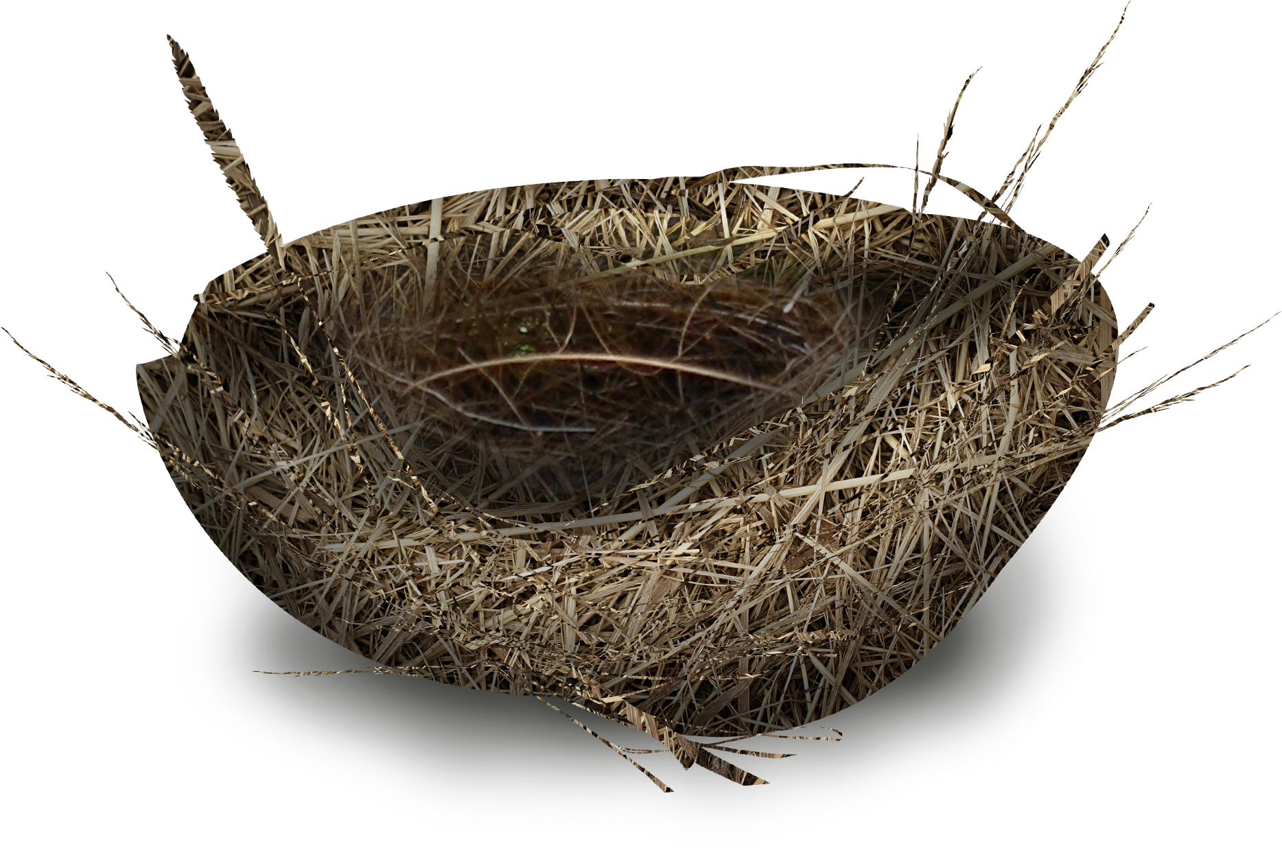 Storage Basket (1868x1249), Png Download