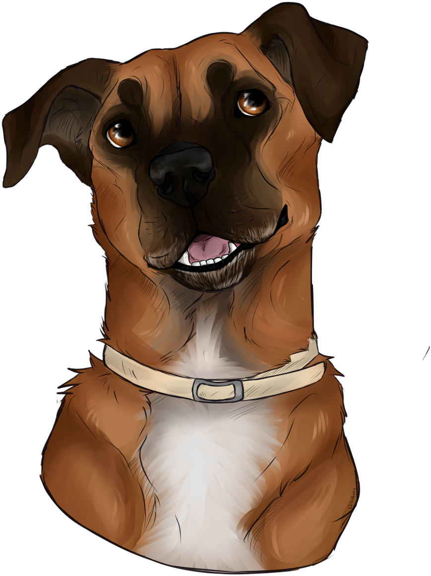 🍑peachy🍑 On Twitter - Companion Dog (960x1200), Png Download