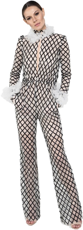 V - - Formal Wear (444x955), Png Download