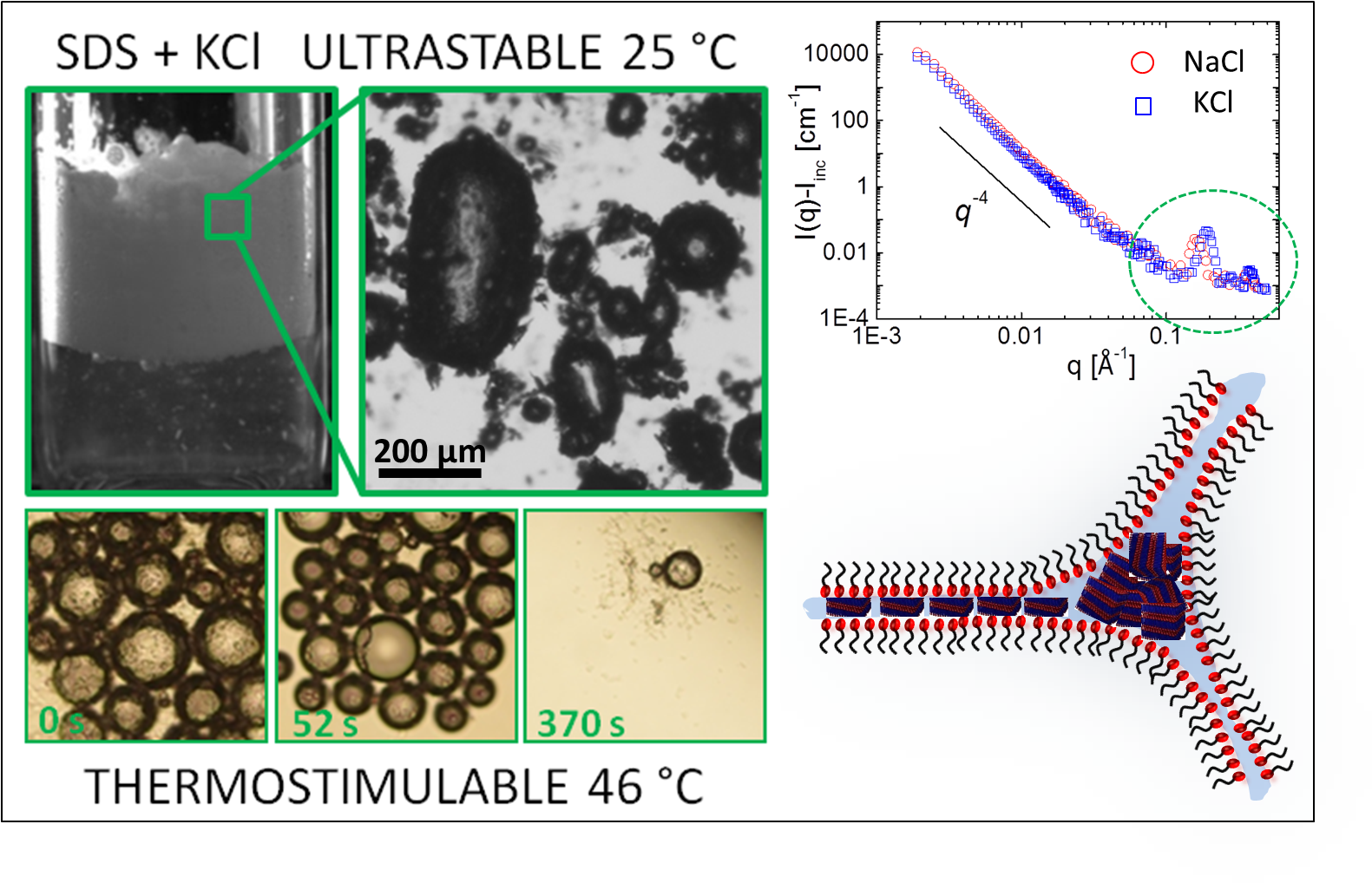 A Team Of Researchers At The Lps Of Université Paris-sud - Animal (1660x1106), Png Download