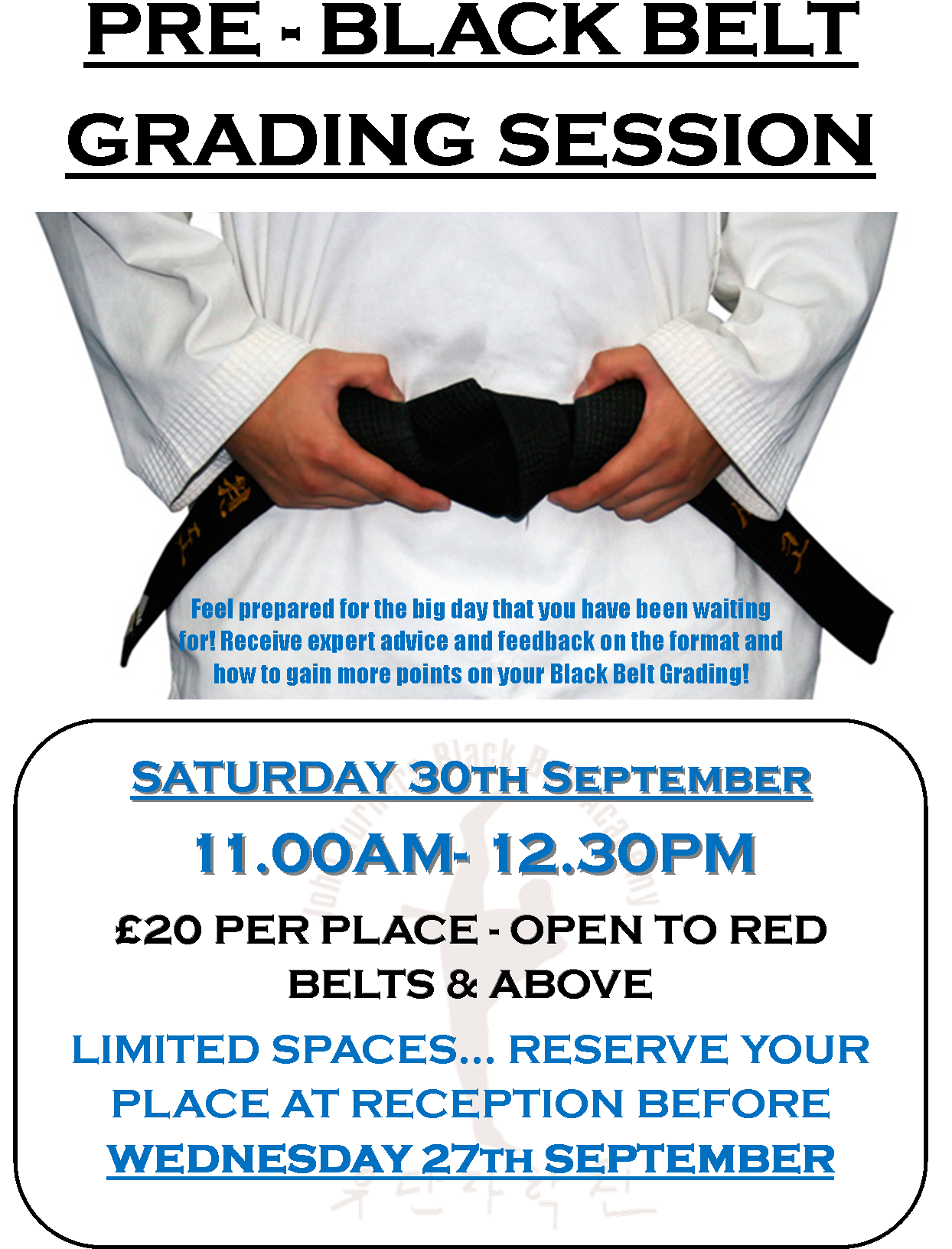 Pre Black Belt Grading - Flyer (1243x1659), Png Download