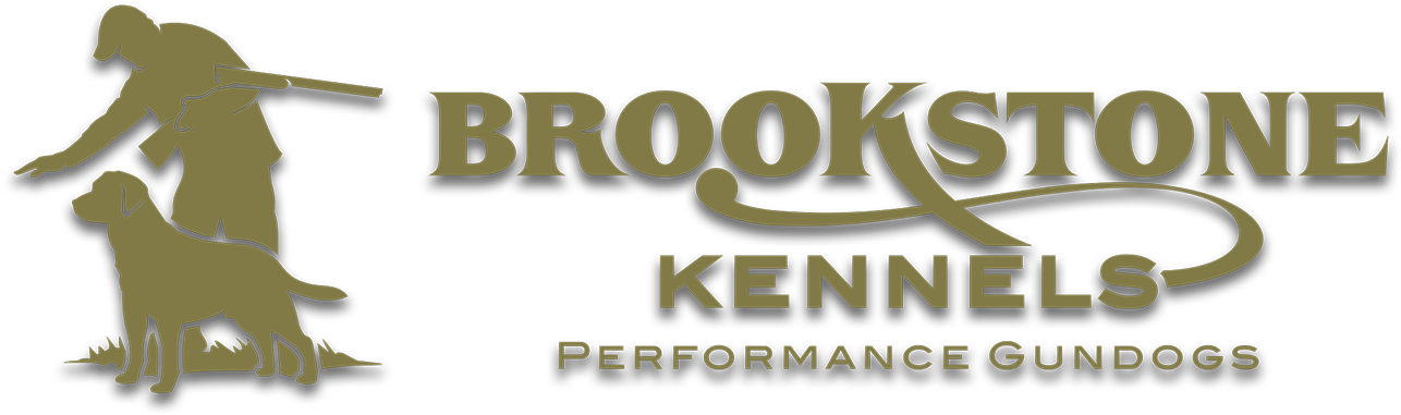 Calligraphy (1353x400), Png Download