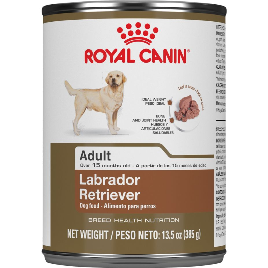 Adult Labrador Retriever Canned Dog Food - Royal Canin Golden Retriever Dog Food (1280x928), Png Download