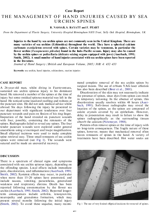 Pdf - (page 12) (587x791), Png Download