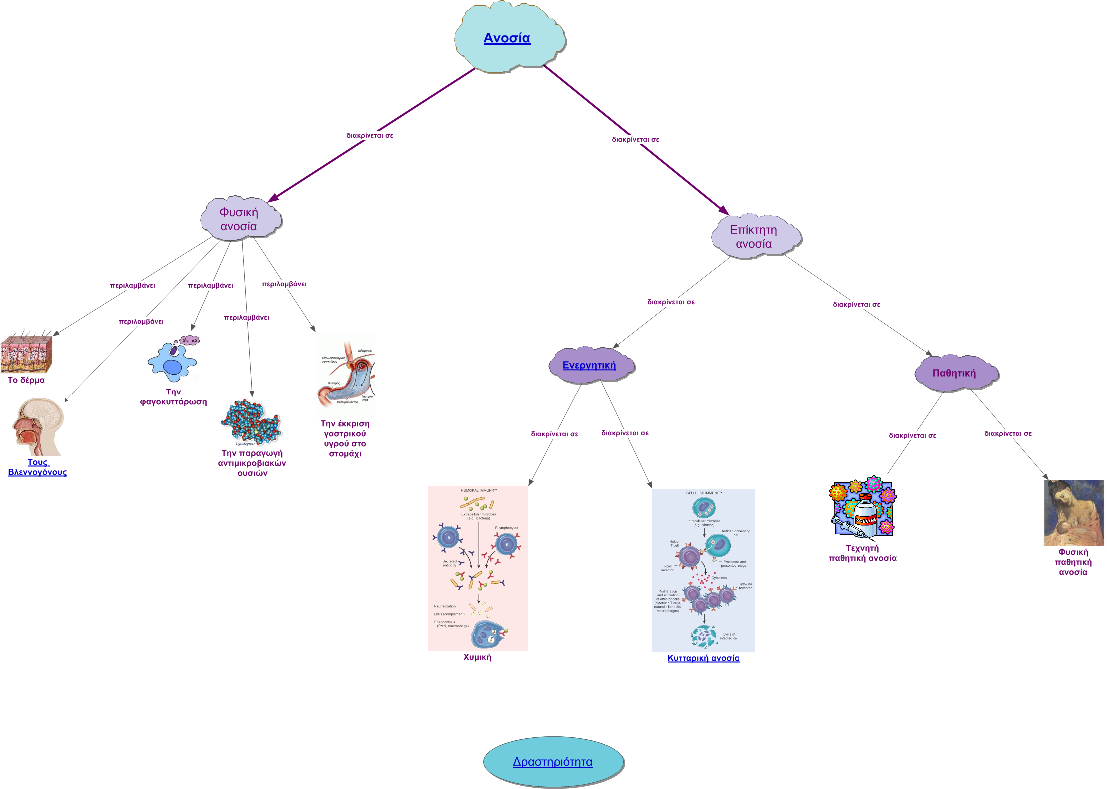 Created Using Inspiration® 9 International English - Water Bottle (2217x1580), Png Download