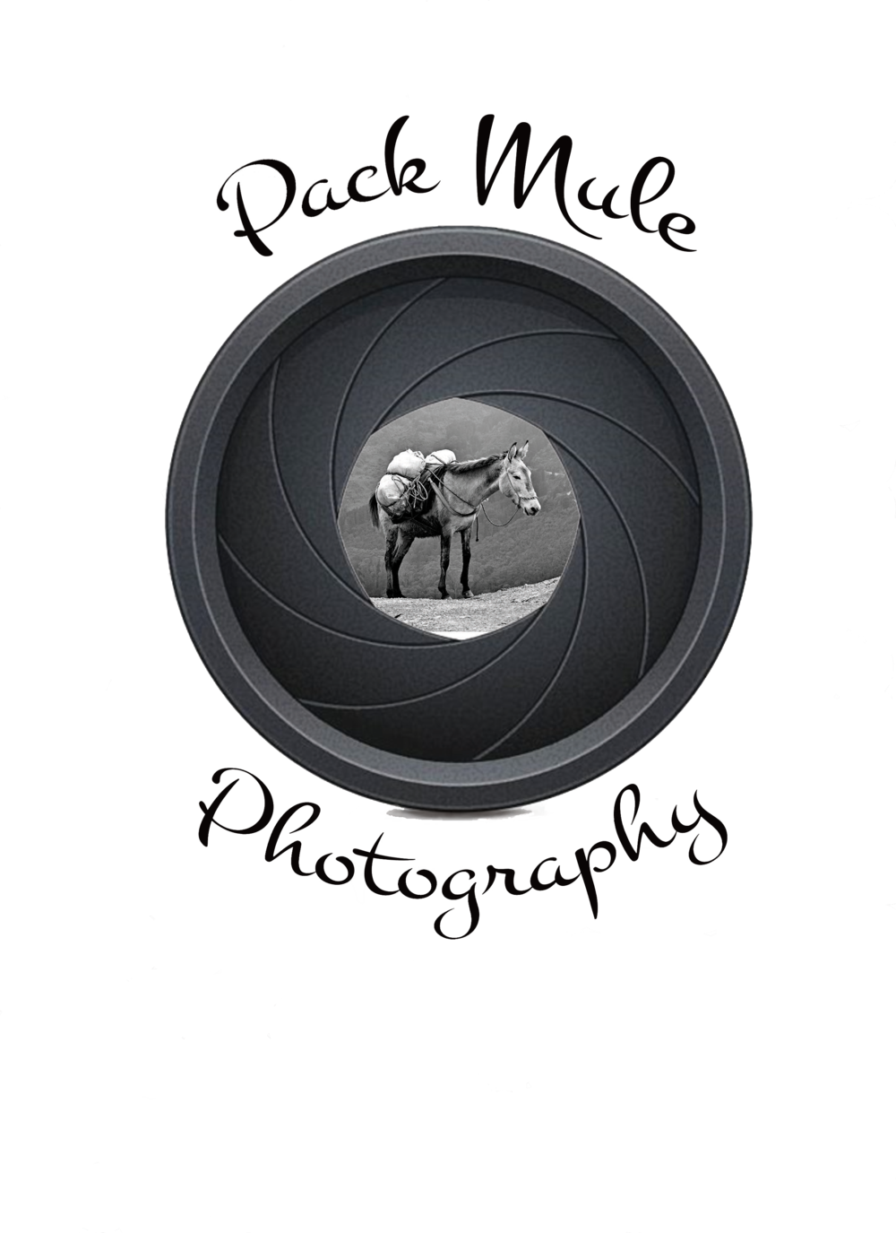 Mule Png (1000x1375), Png Download