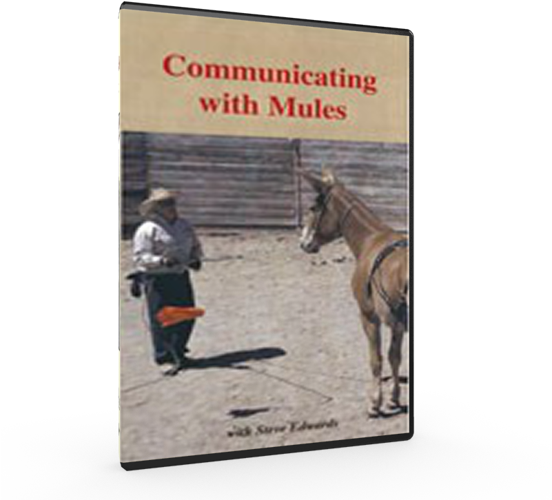Communicating With Mules Dvd - Community Education (800x800), Png Download