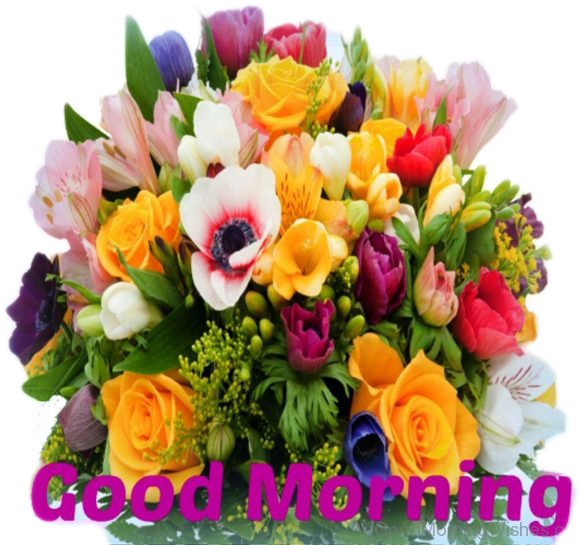 Good Morning Png Image - Big Bunch Of Flowers (600x545), Png Download
