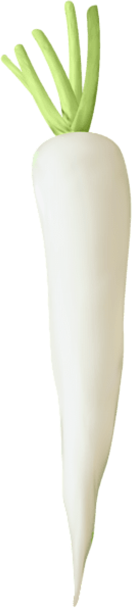 Free Png Download Turnip Transparent Png Images Background - Girl (480x2043), Png Download