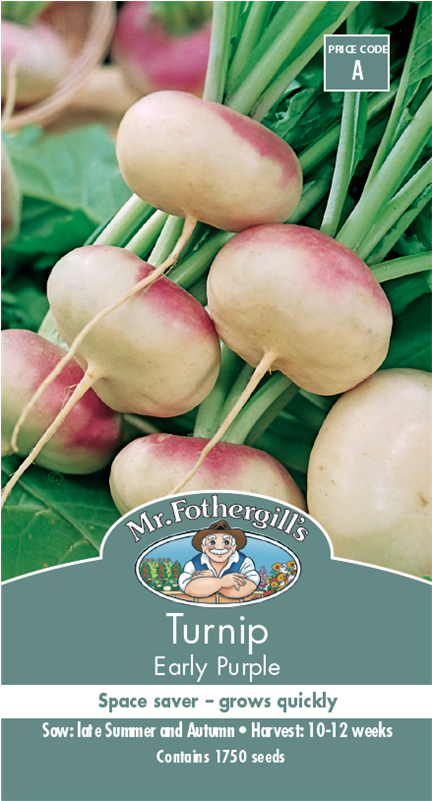 Mr Fothergill's Seed Turnip Early Purple - Turnip Purple Top Milan (800x800), Png Download