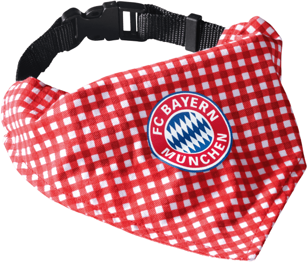 Bayern Munich (660x660), Png Download