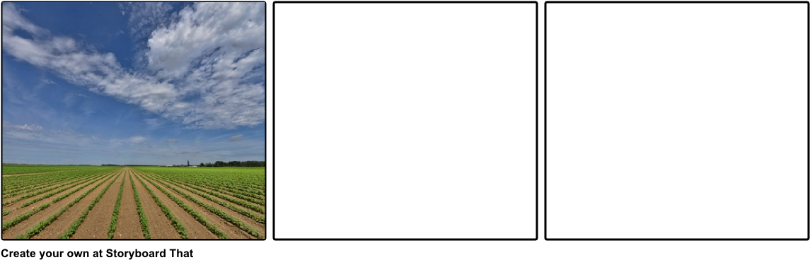 The Turnip - Storyboard (1164x385), Png Download