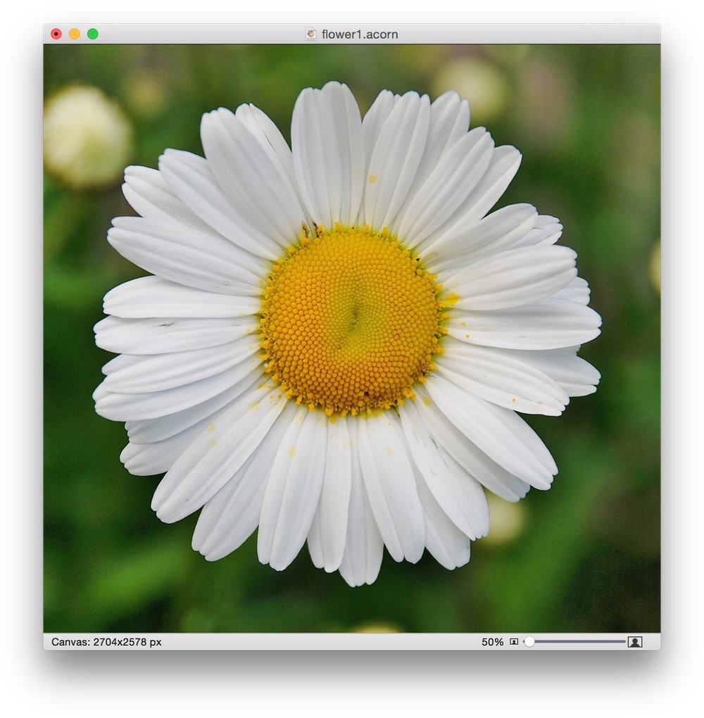 Image Library Acorn Scrapbooking Screen Shot At Pmpng - Wenn Du Mich Nicht Liebst (1000x1020), Png Download