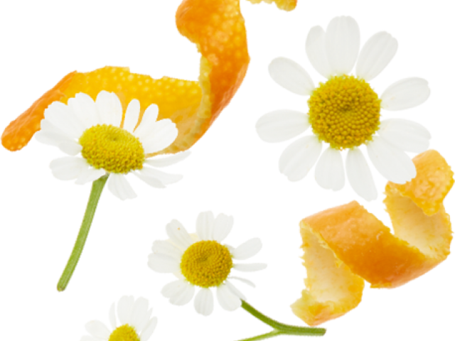 Chamomile (640x480), Png Download