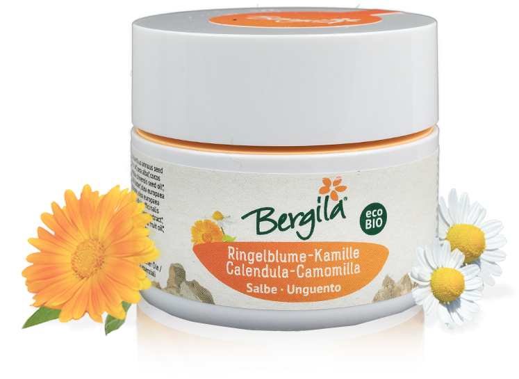 Bergila (800x800), Png Download