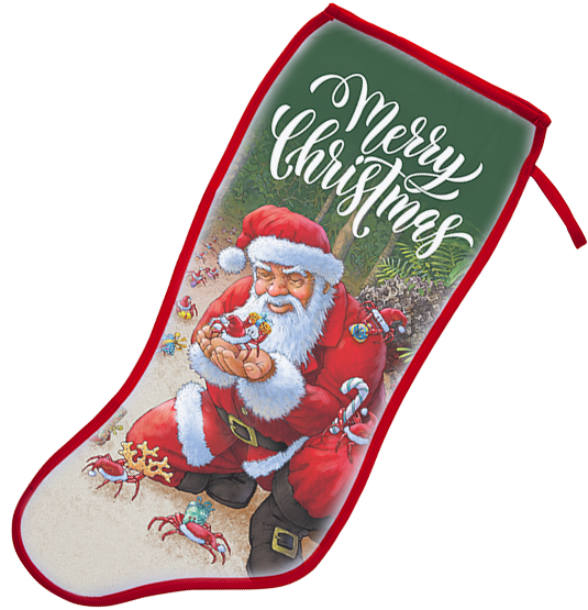Christmas Stocking Png (800x600), Png Download