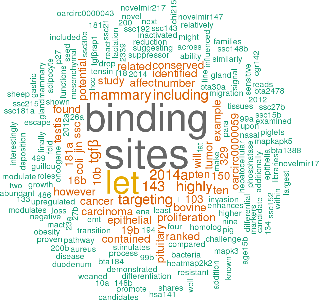 Stem Loop Sequence Oar Mir 148a - Hsa Let 7a 3p 5p 3 Utr (1027x967), Png Download