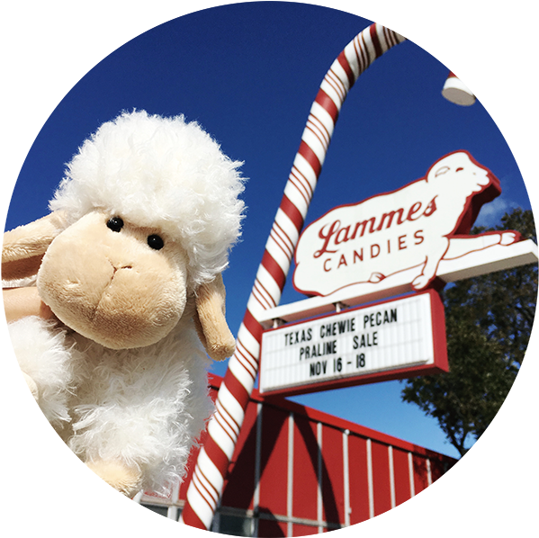 Lammie - Livestock (605x605), Png Download