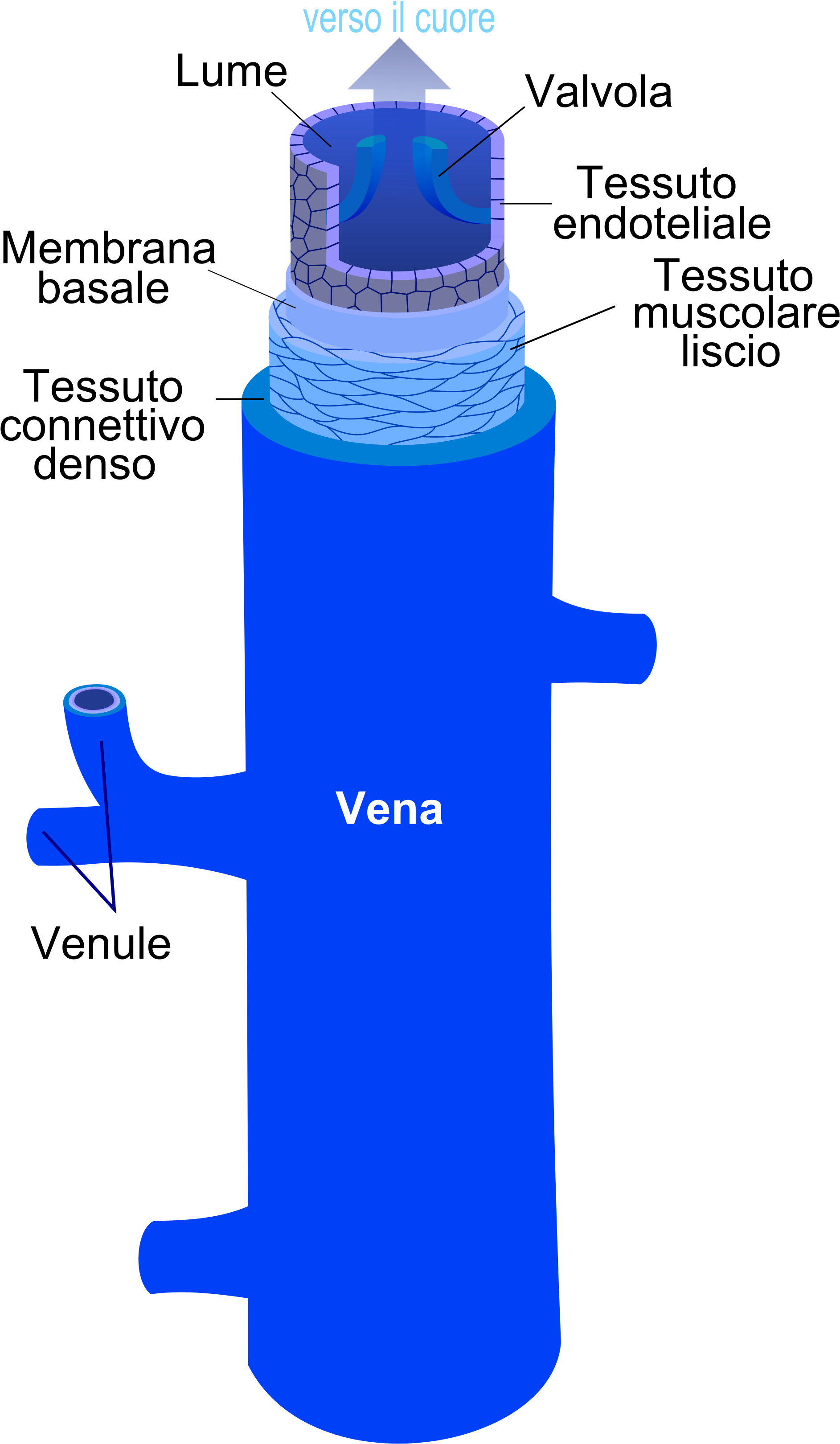 Open - Bottle (2000x3345), Png Download