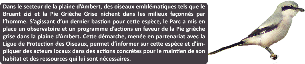 683 3 - Wire (1092x375), Png Download