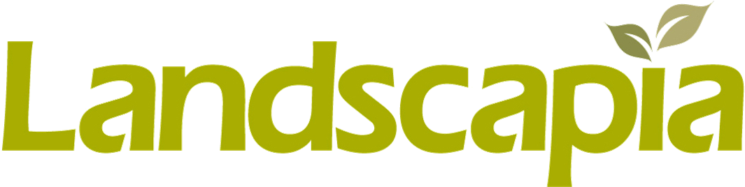 Hakonechloa Macra 'aureola' - Graphics (1170x377), Png Download