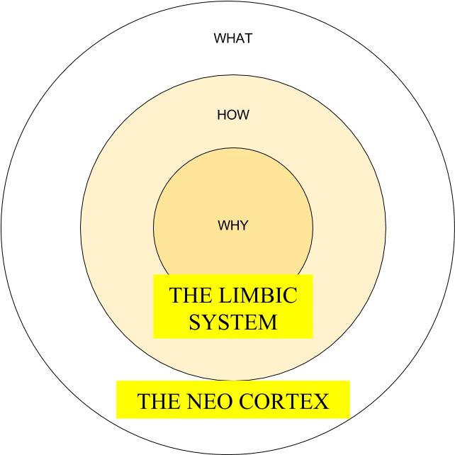 Start With Why A Summary Of Simon Sinek's Book - Circle (960x720), Png Download