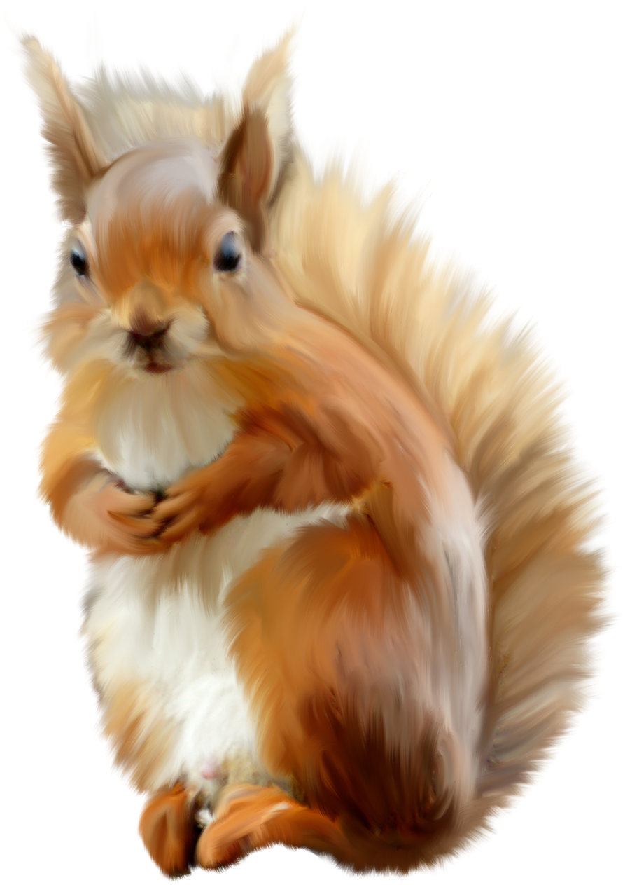Animales Infantiles Png - Squirrel (1088x1280), Png Download