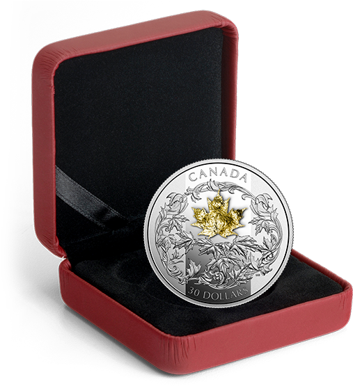 *golden Maple Leaf - Canadian Silver Coin 2017 Year Of The Rooster (570x570), Png Download