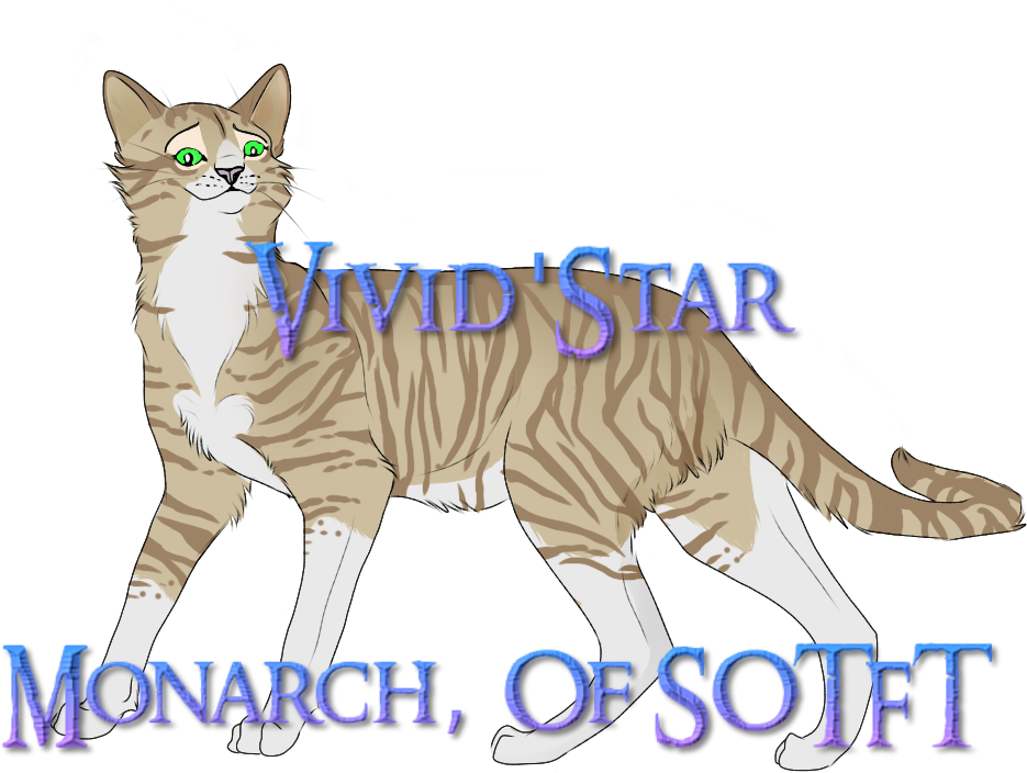 Vivid'star (1024x768), Png Download