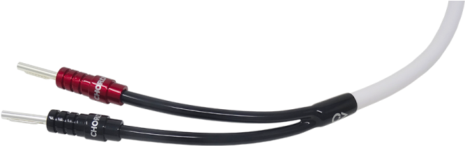 C Screen Float Temp Trousers - Networking Cables (750x750), Png Download