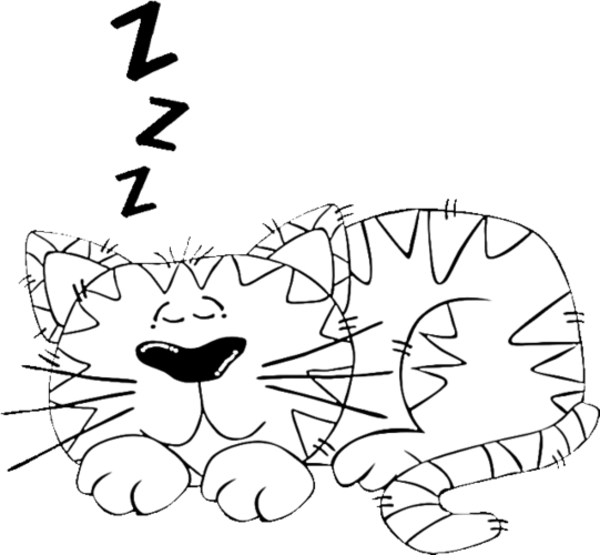 Cartoon Cat Sleeping Coloring Page - Cartoon Cats (600x555), Png Download