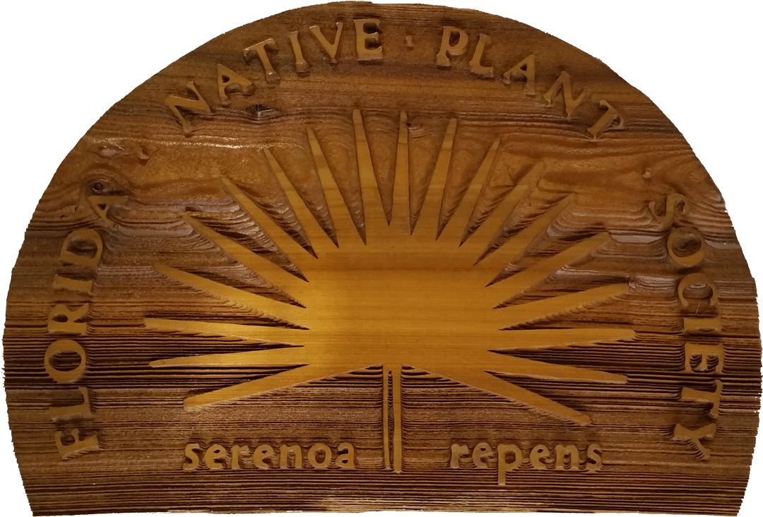 Cedar Fnps Plaque - Plywood (1080x732), Png Download