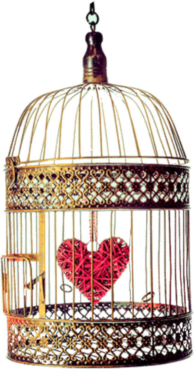 Report Abuse - Cage (1024x1307), Png Download