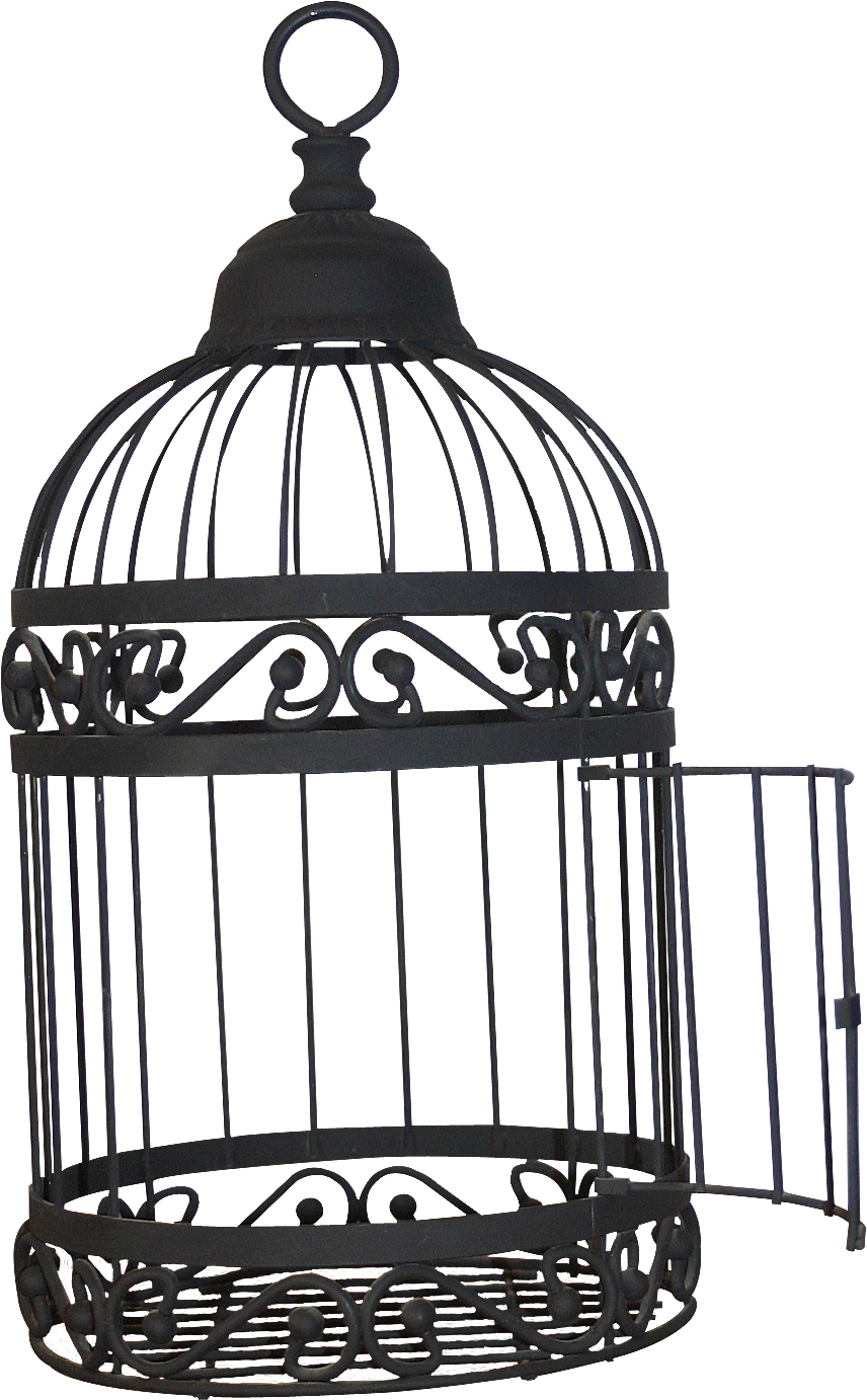 Download Birdcage Transparent Images - Open Bird Cage Png PNG Image ...