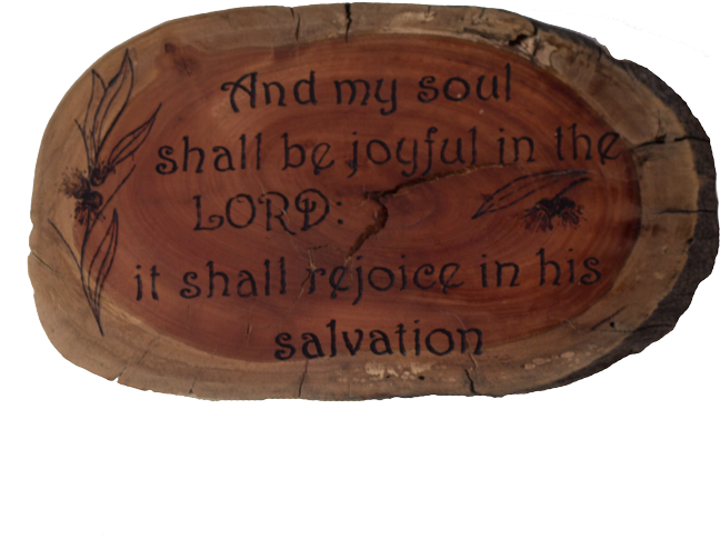 Wood (662x662), Png Download