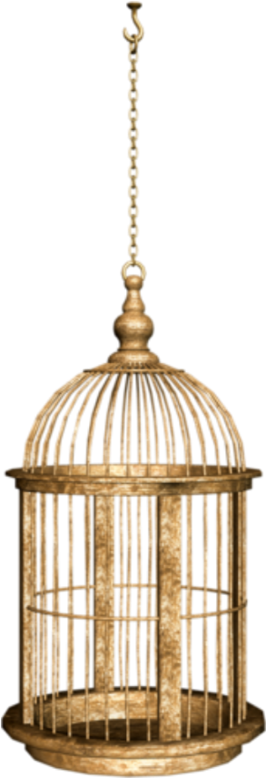 Birdcage Sticker - Cage (1024x1024), Png Download