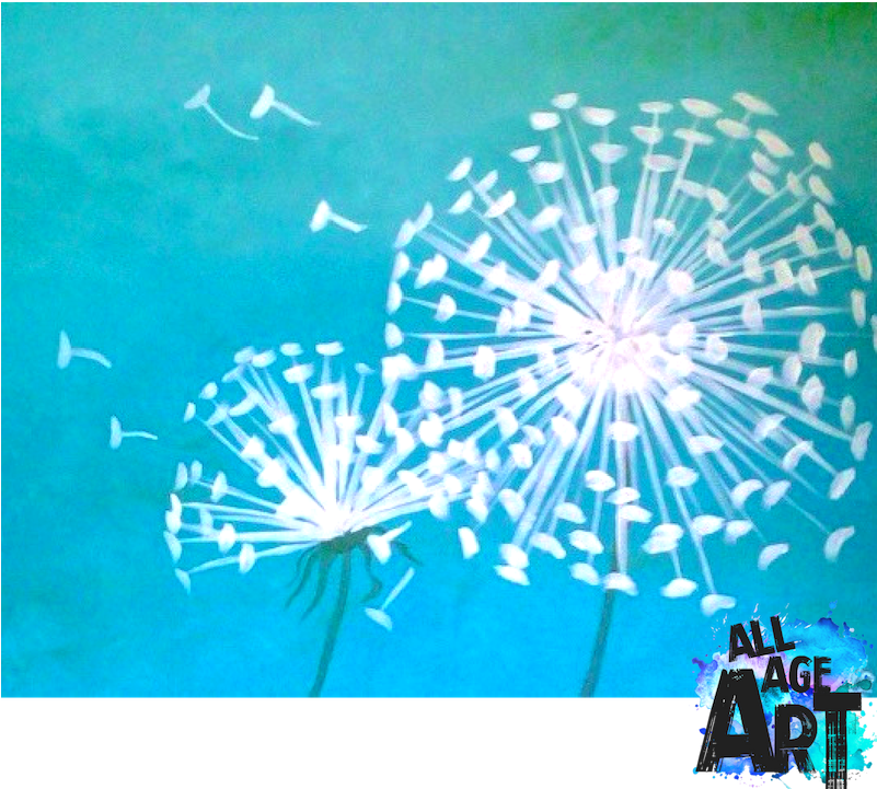 Fireworks (800x800), Png Download