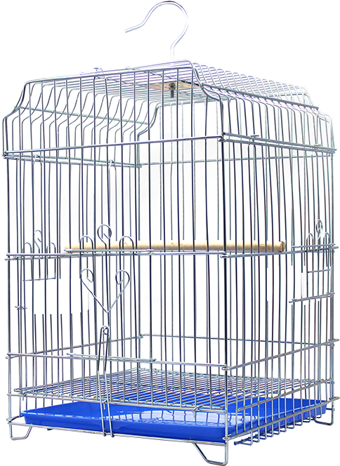 Tiger Skin Peony Parrot Starling Bird Cage Bird Thrush - Cage (800x800), Png Download