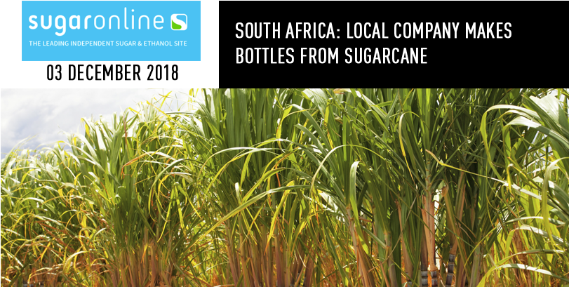 Local Company Makes Bottles From Sugarcane - Hawaiian Sugar Cane Farm (900x469), Png Download