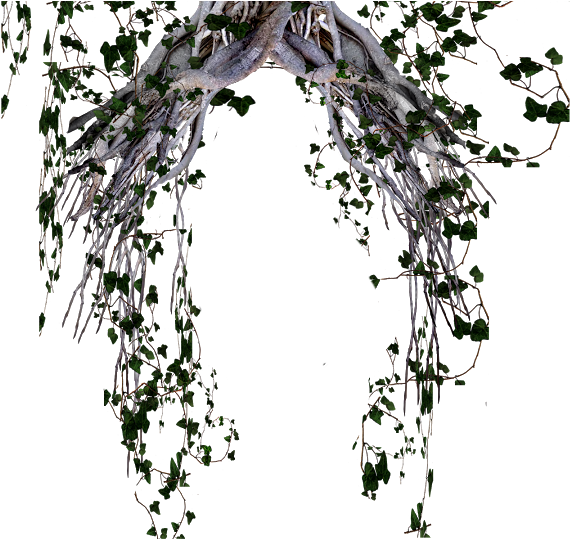 Clique Na Imagem Para Ver O Tamanho Real Ou Salvar - Illustration (598x538), Png Download