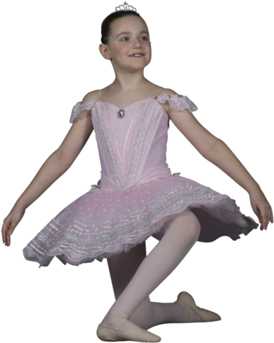 Maple Leaf School Of Russian Ballet Aims To Provide - Ballet Dancer (1000x662), Png Download