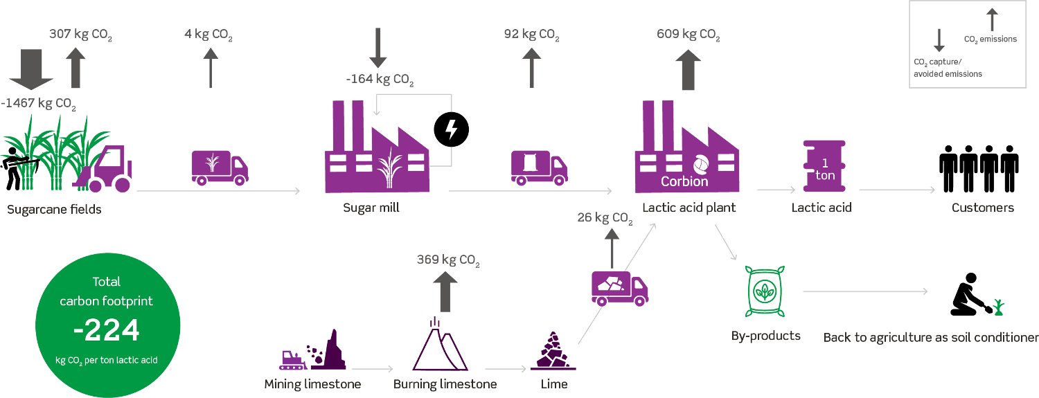 During The Growing Of The Sugar Cane, Co2 Is Absorbed - Lca Sugarcane (1500x575), Png Download