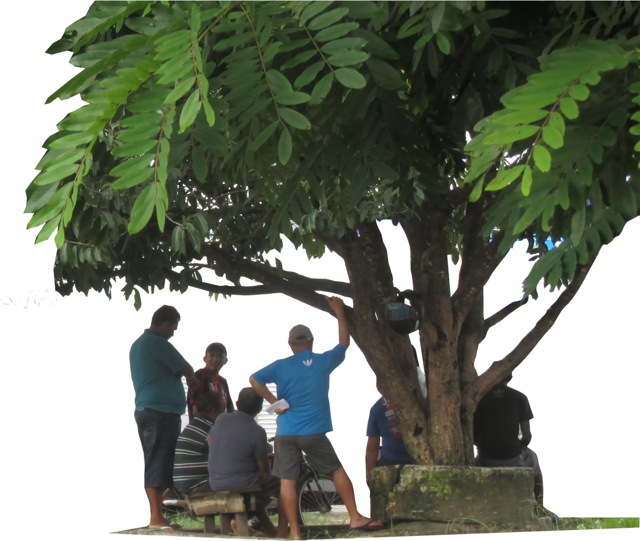 Arvore Sombra Conversa Prosa - Vacation (1280x1119), Png Download
